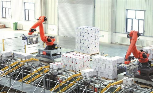 一颗枣，凭什么红遍全国 技术驱动下的产业新变革