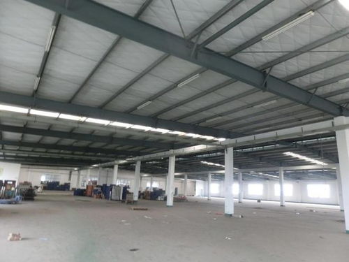 漳州科技工厂2500万元成功拍卖，新主瞄准技术开发新篇章